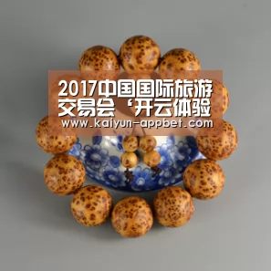 2017中国国际旅游交易会‘开云体验’(图3) 开云数据
