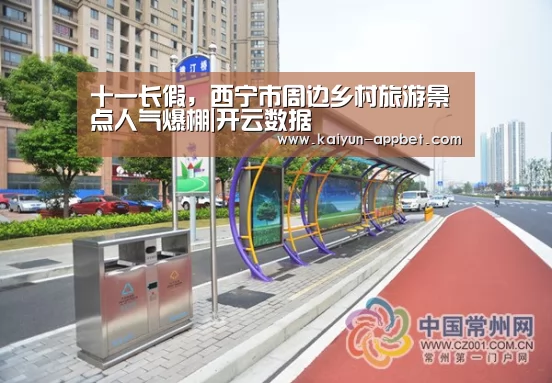 十一长假,西宁市周边乡村旅游景点人气爆棚|开云数据(图2) 开云体验