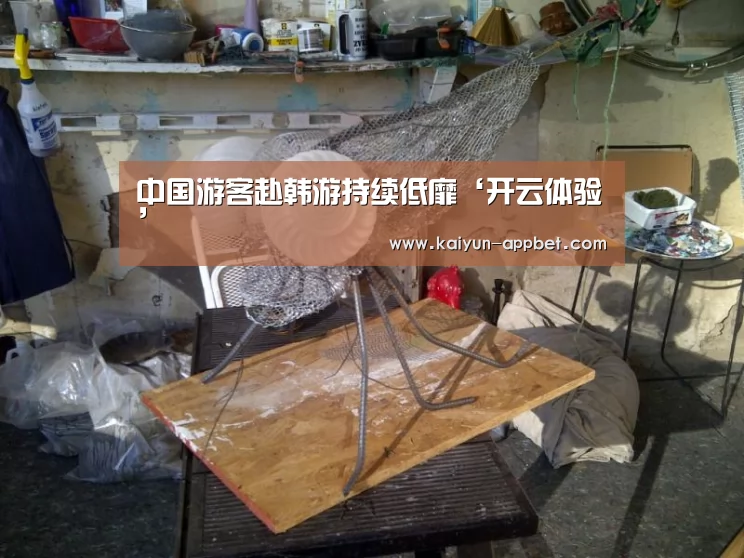 中国游客赴韩游持续低靡‘开云体验’(图4) 开云体验
