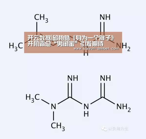 开云下载